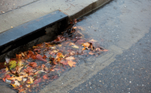 A storm drain clogged with fall leaves.