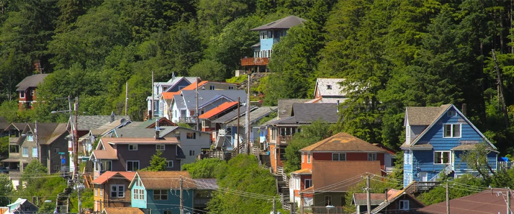 Overview of homes in the trees