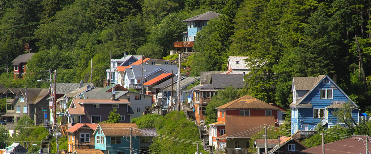 Overview of homes in the trees