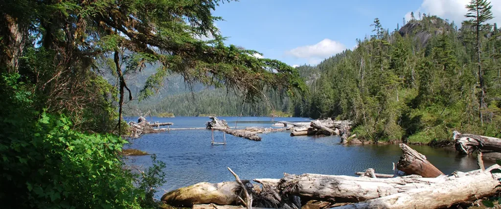 View of a lake