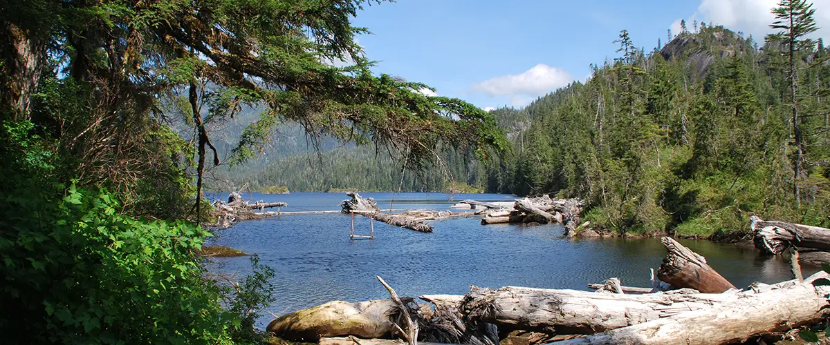 View of a lake